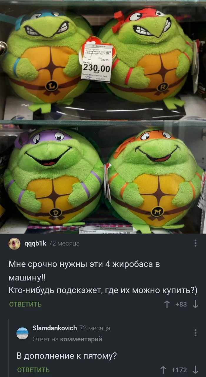 Teenage Mutant Ninja Turtles - Humor, Teenage Mutant Ninja Turtles, Motorists, Pillow, Obesity, Comments, Comments on Peekaboo, Podkol, Troll, Car