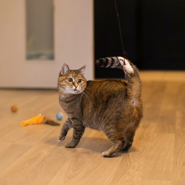    !!! ,   ,  , , ,  ,  ,  