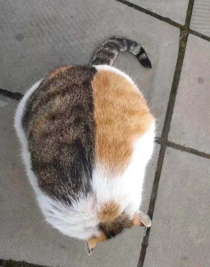   , -? ,  ,  ,  