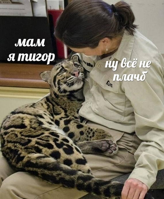 ����� � ���?