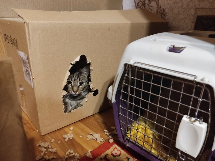 ���� � ���