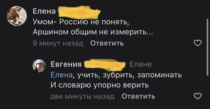 Умом — Россию не понять... - Скриншот, Комментарии, ВКонтакте, Стихи