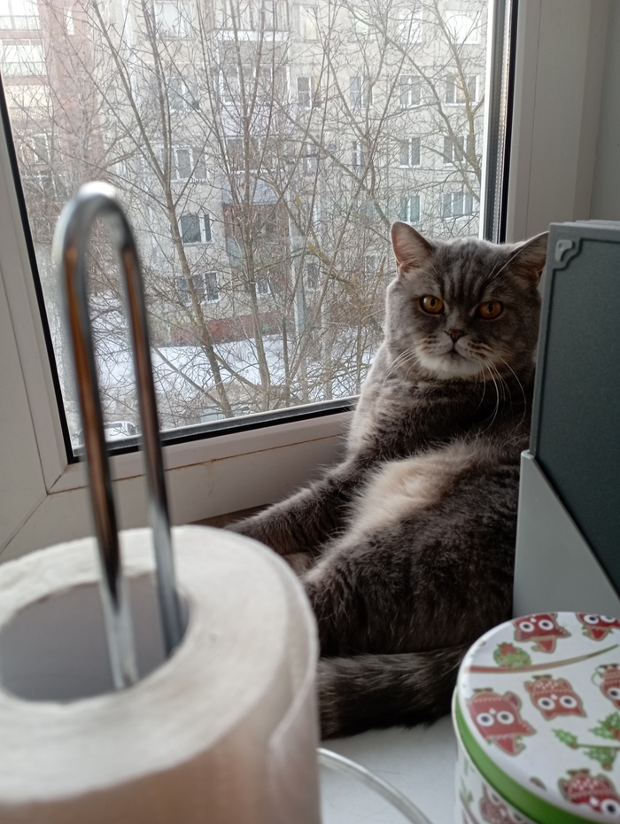 Наблюдательный пост занят