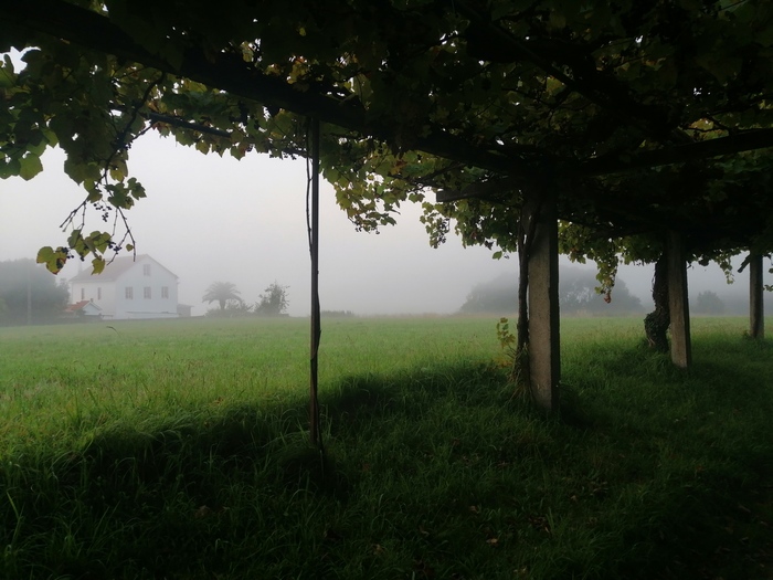  OdetteToulemonde     "-  " ,  , ,  , , El camino,   , , 