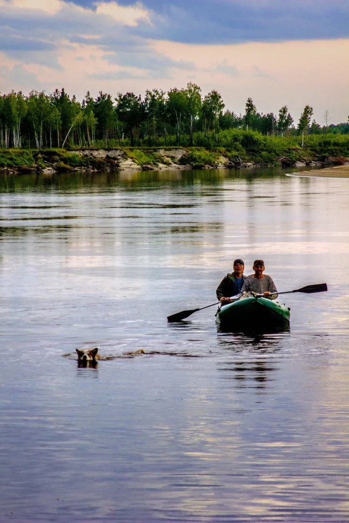 Response to the post Really Good Morning - My, Tent, Tourism, Camping, Travel across Russia, The photo, Hike, The nature of Russia, A wave of posts, Reply to post, Longpost