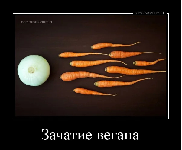 Зачатие борщa