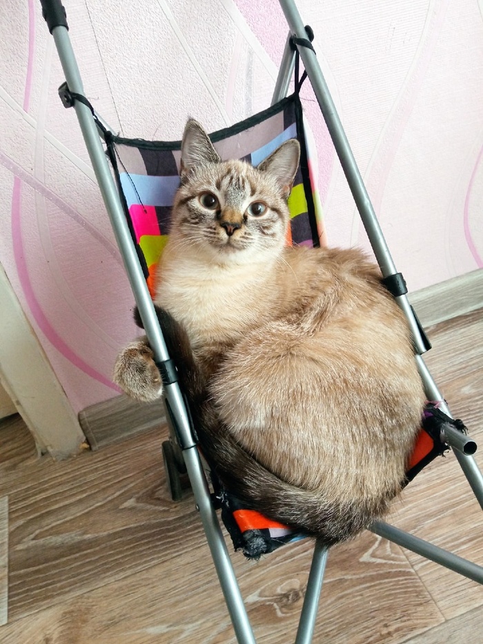 Маленькая ляля