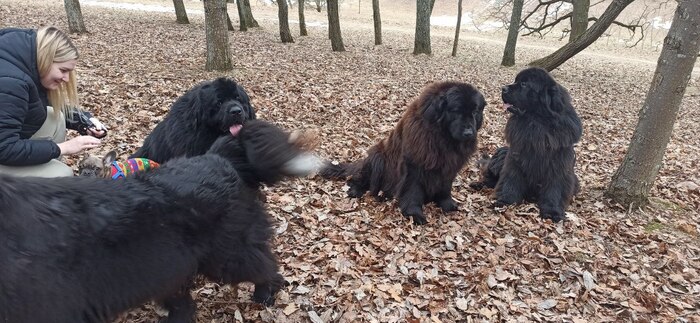 Ответ на пост «Памагити...»