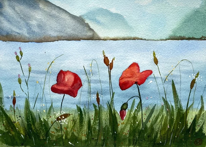 Poppies by the sea - My, Watercolor, Drawing, Beginner artist, Poppy, Flowers