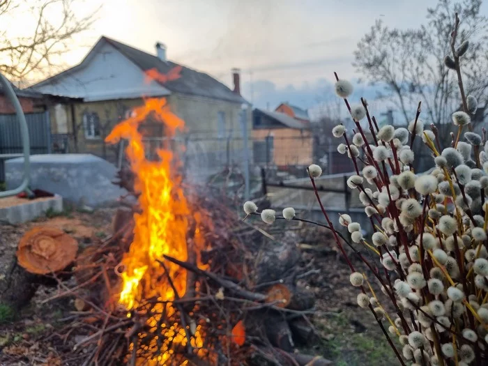 Апрель в частном секторе - Моё, Весна, Апрель, Пейзаж, Цветы, Мобильная фотография, Длиннопост