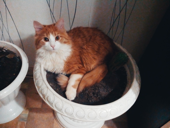 ����� "�"