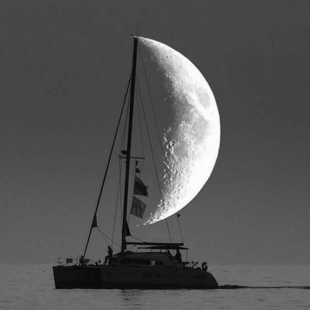 Nice - moon, Sea, Ocean, Beautiful, The photo, Black and white photo