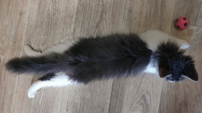 �������� � �����