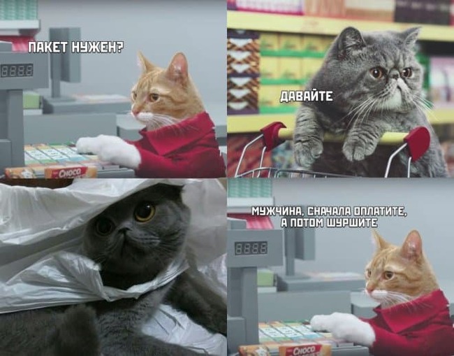 The package changes cats... - Picture with text, cat, Package, Cash register