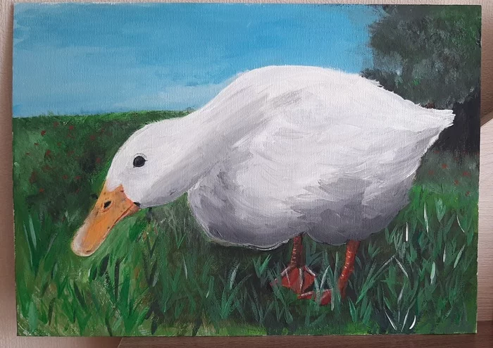 Duck and nothing else - My, Duck, Drawing, Acrylic