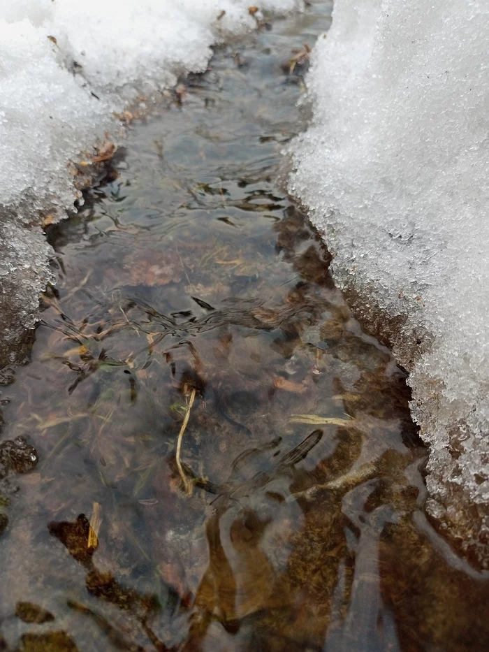 A quiet trickle... - My, Stream, Spring, Longpost