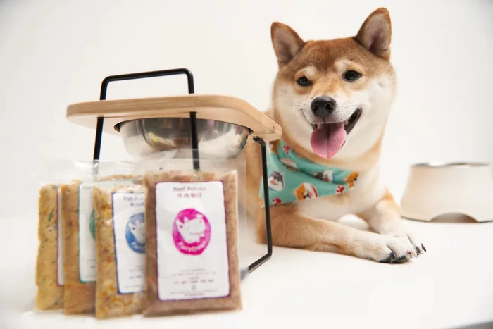 Hong Kong startup turns ugly products into food for stray dogs - Garbage, Ecology, Scientists, Nutrition, Animals, Dog, Waste recycling, Good deeds, Longpost