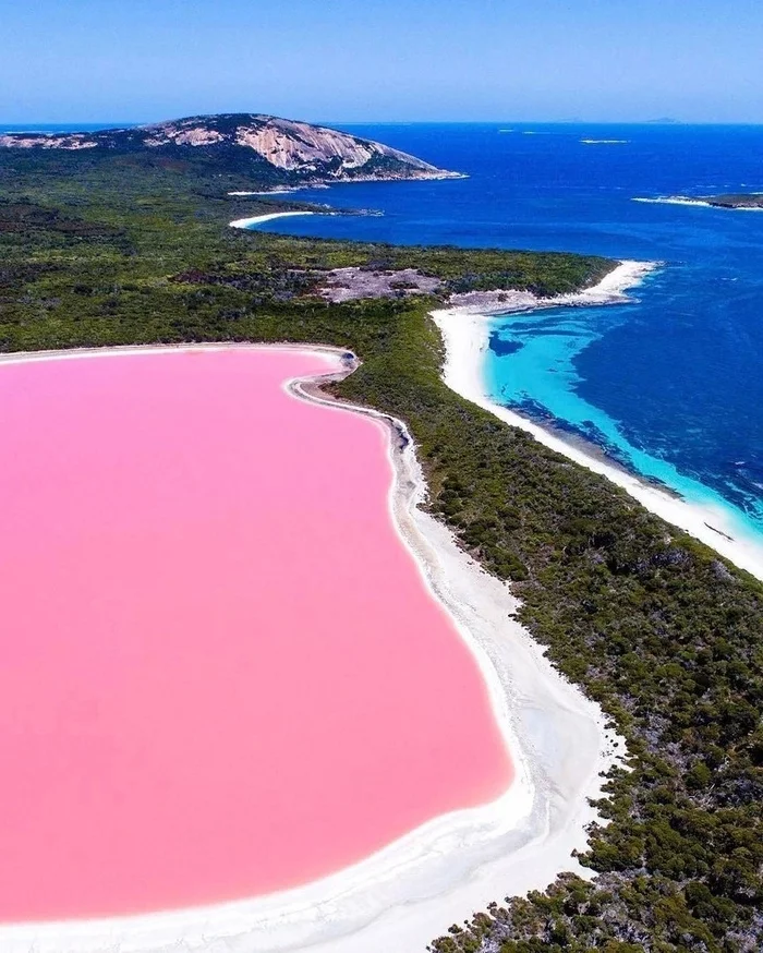 Pink Hiller Lake in Australia - Lake, Australia, Pink, Nature, beauty