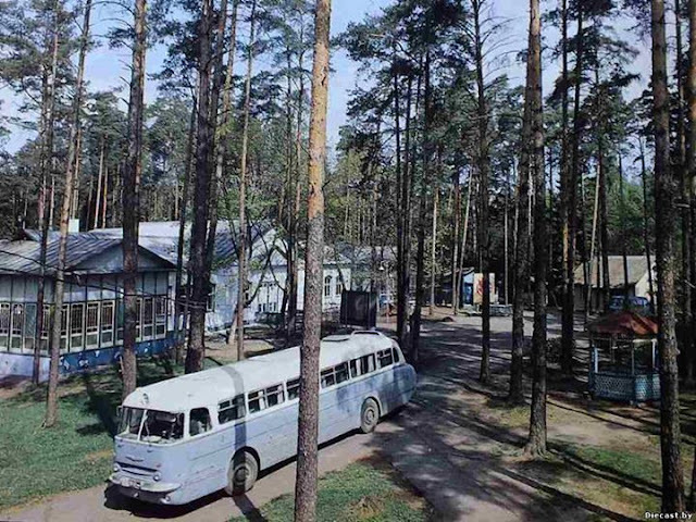 Ikarus Ikarus in service in Sovtransavto (2 part) - Ikarus, Ikarus-250, Ikarus 260, Bus, Longpost, Sovtransavto