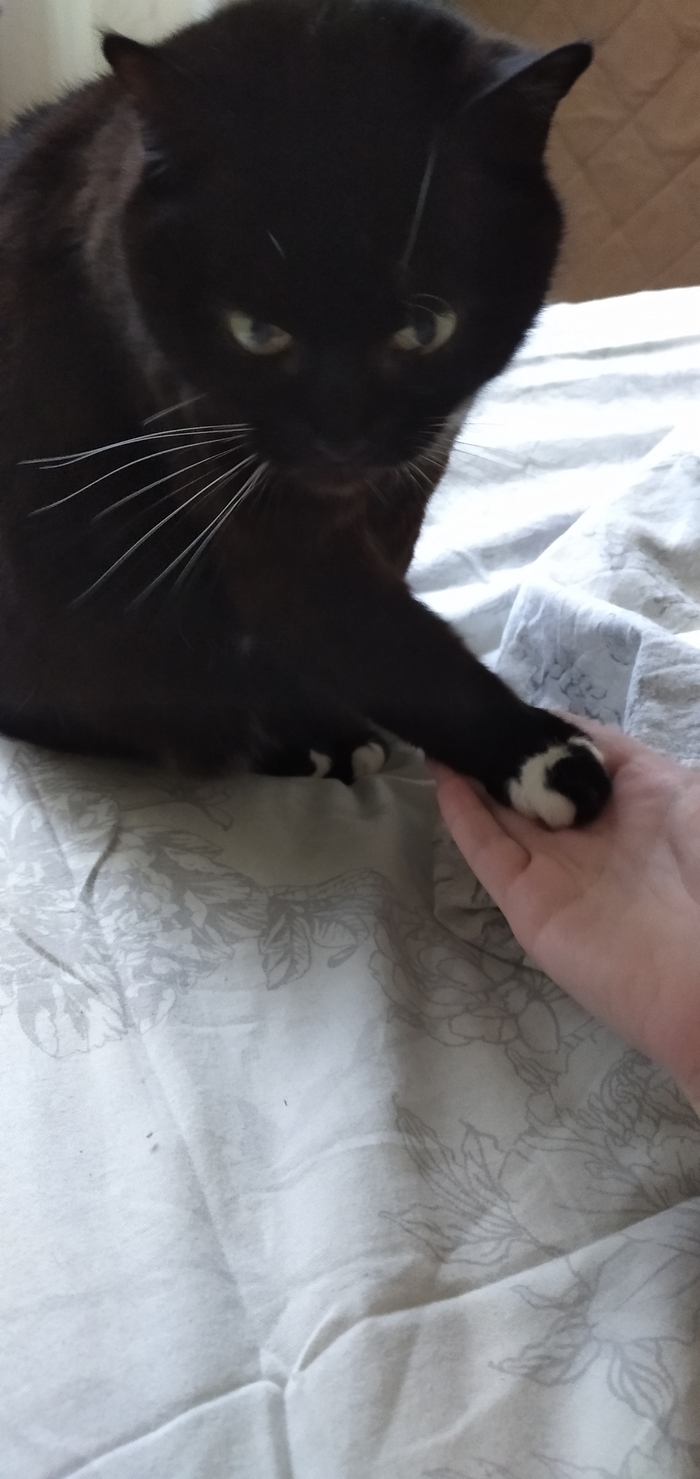 �� ������,�������, �� ��...