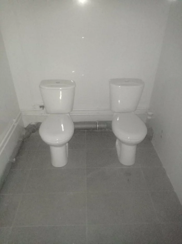 Toilet for very close people - Toilet, Toilet humor, Work, Repair, Idiocy, And so it will do