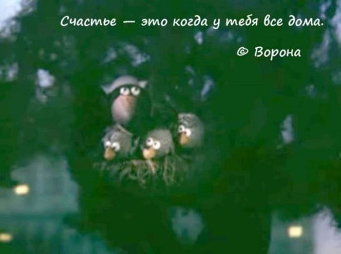 The Wisdom of Soviet Animation - the USSR, Cartoons, Wisdom, Parenting, Nostalgia, His native, Russia, Joy, Good mood, Longpost