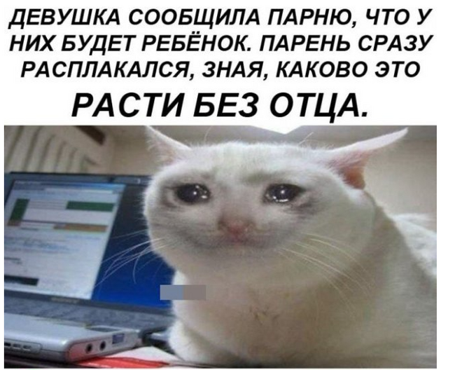 ��� ����