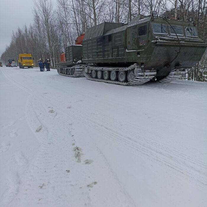 Ответ на пост ,,Проходимец,,