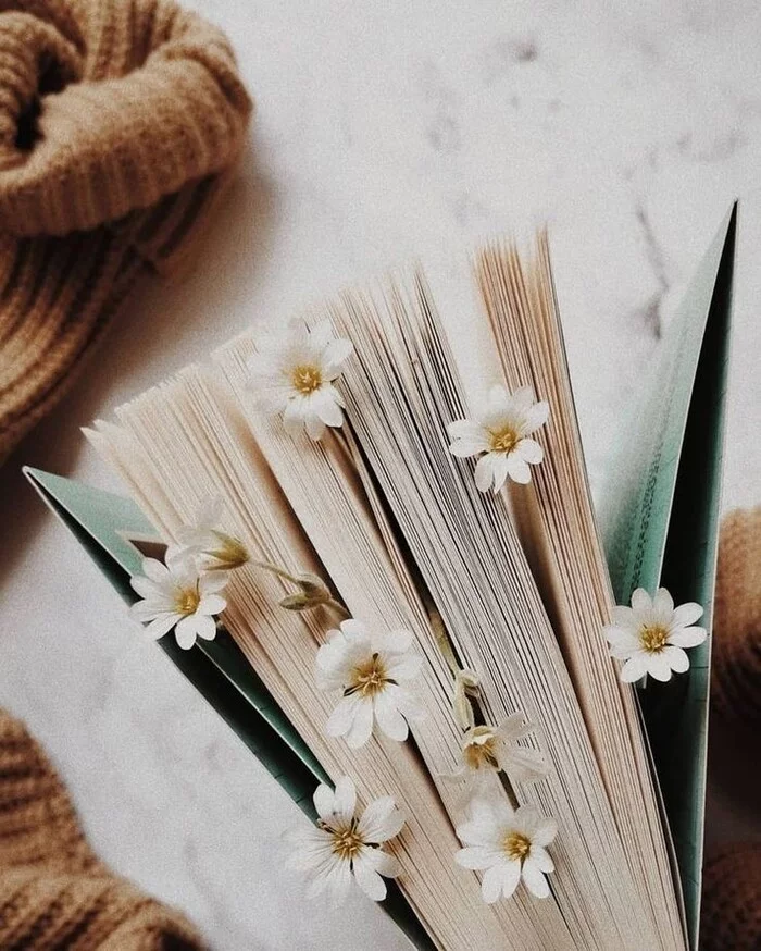 What's your favorite book? - Books, Flowers, Aesthetics