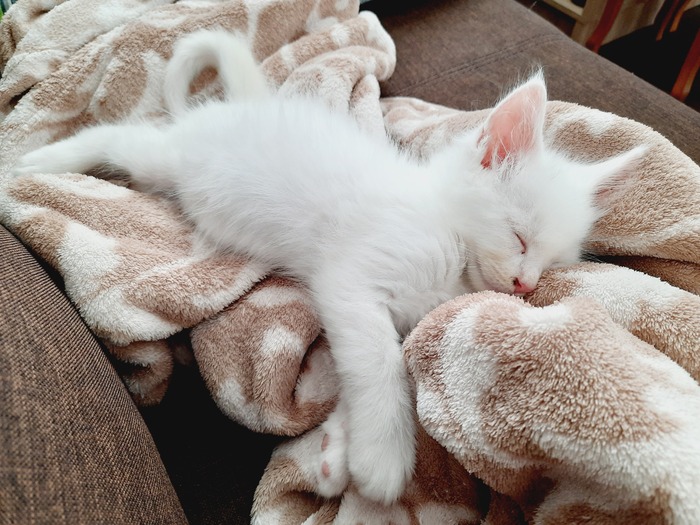 � - ���! ����� ���!))))