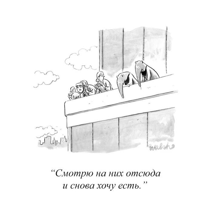 ���� ������ �������� ��� �������