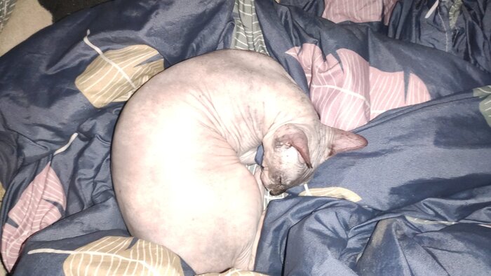 ��� ������ � ���� � ��� ��������