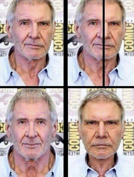 Which one is real? - Harrison Ford, Asymmetry, Face, Two Halves, The photo, Collage