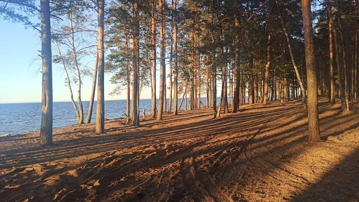 Spring on the Gulf of Finland - Mobile photography, Spring, Saint Petersburg, The Gulf of Finland, Nature, Longpost