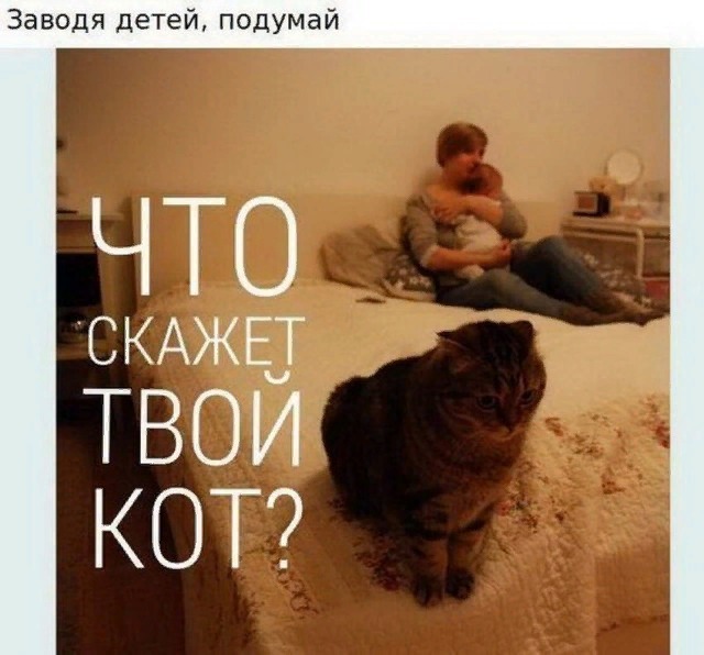 Think!!! - Picture with text, Vital, cat, Children