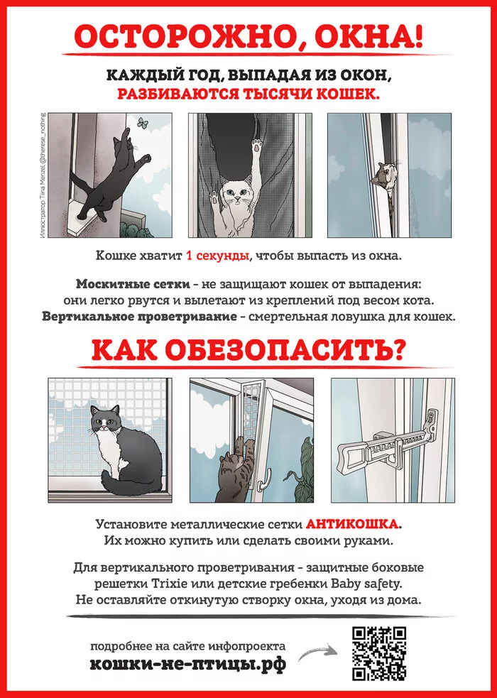 Take care of your furry - cat, Safety, Spring, Falling out of the window, Veterinary, Helping animals