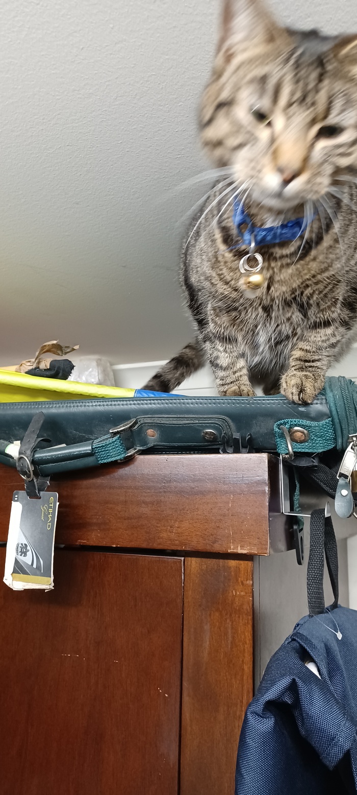 ���������� ��������