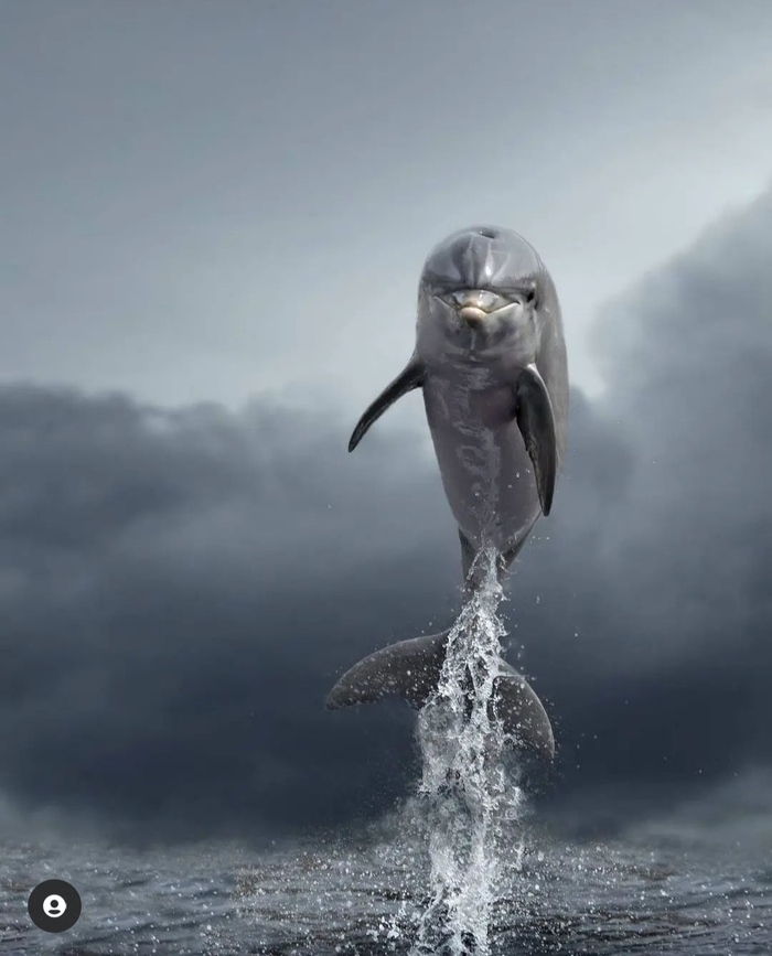 Удачный кадр