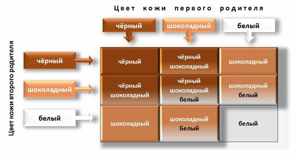 Шоколадки - Расизм, Проверка