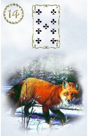 Beautiful map answers. Fur coat in the oracle of Lenormand - Divination, Oracle