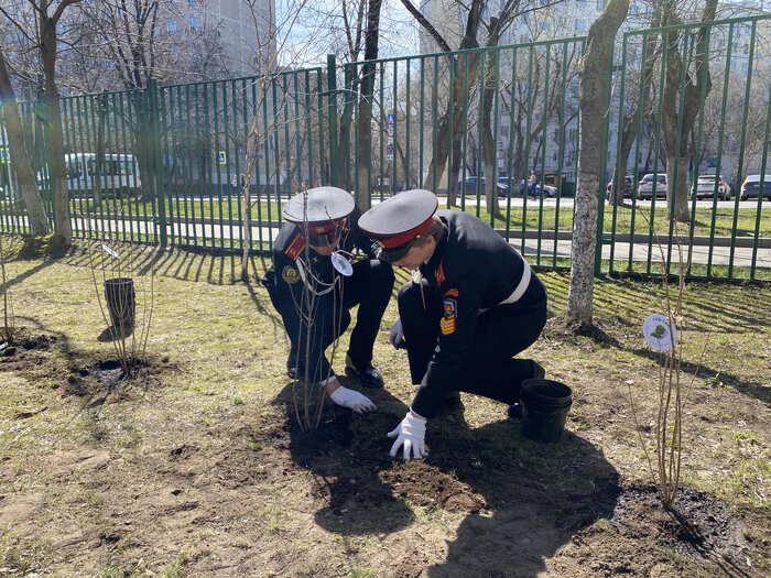 The action Garden of Memory 2022 was held in Moscow - Nature, Media and press, Ecology, Eco-city, Story, Moscow, Video, Youtube, Longpost