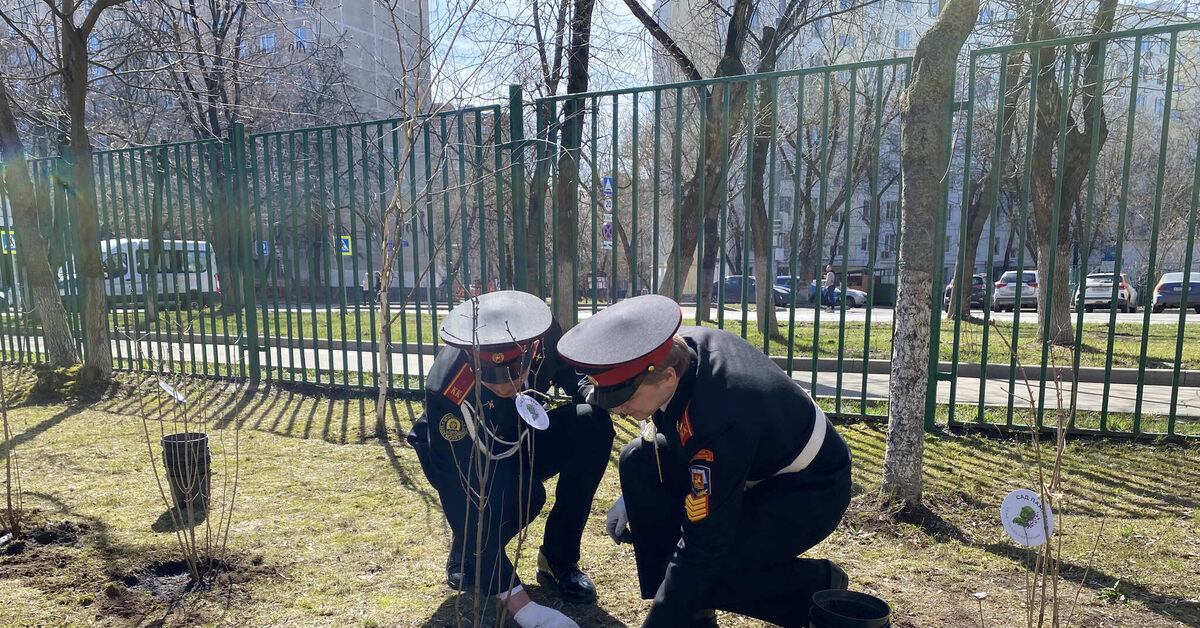 Сад памяти прошел. Сад памяти 2022. Сад памяти Москва. Акция сад памяти. Сад памяти табличка к дереву.
