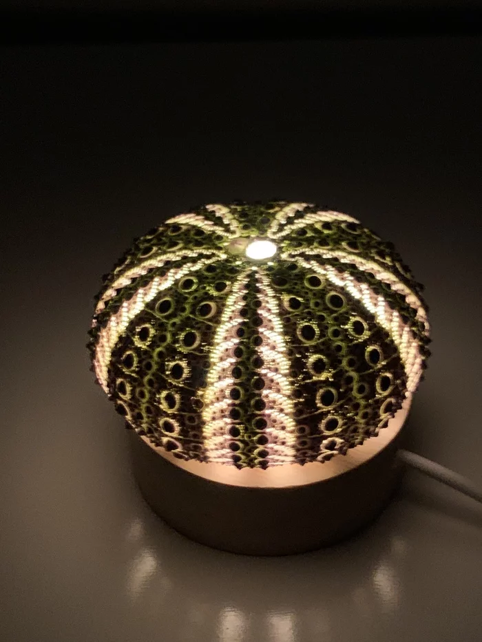 Sea urchin lamp - My, Needlework with process, Sea urchin, Night light, Lamp, Needlework, Homemade, Crafts, Longpost