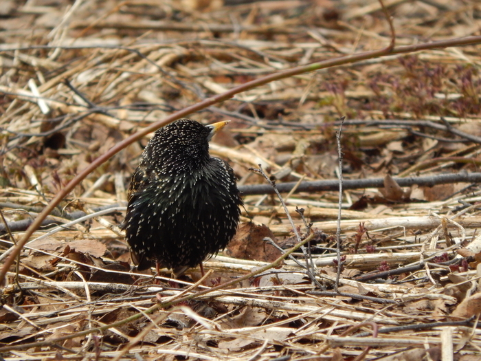 ������������ ���� :)