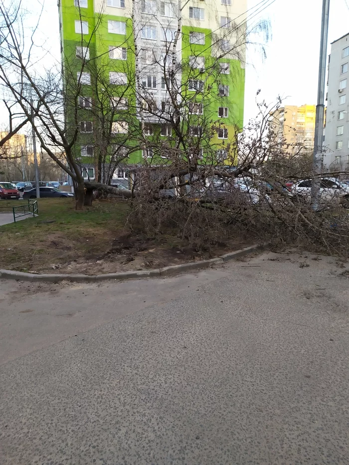 When even nature indicates - My, Parking, Неправильная парковка, Longpost