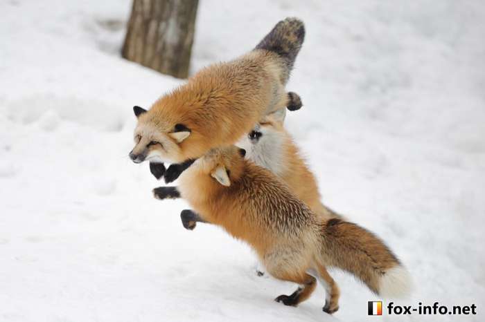 ��������! ���������� ������� ����� � �����!