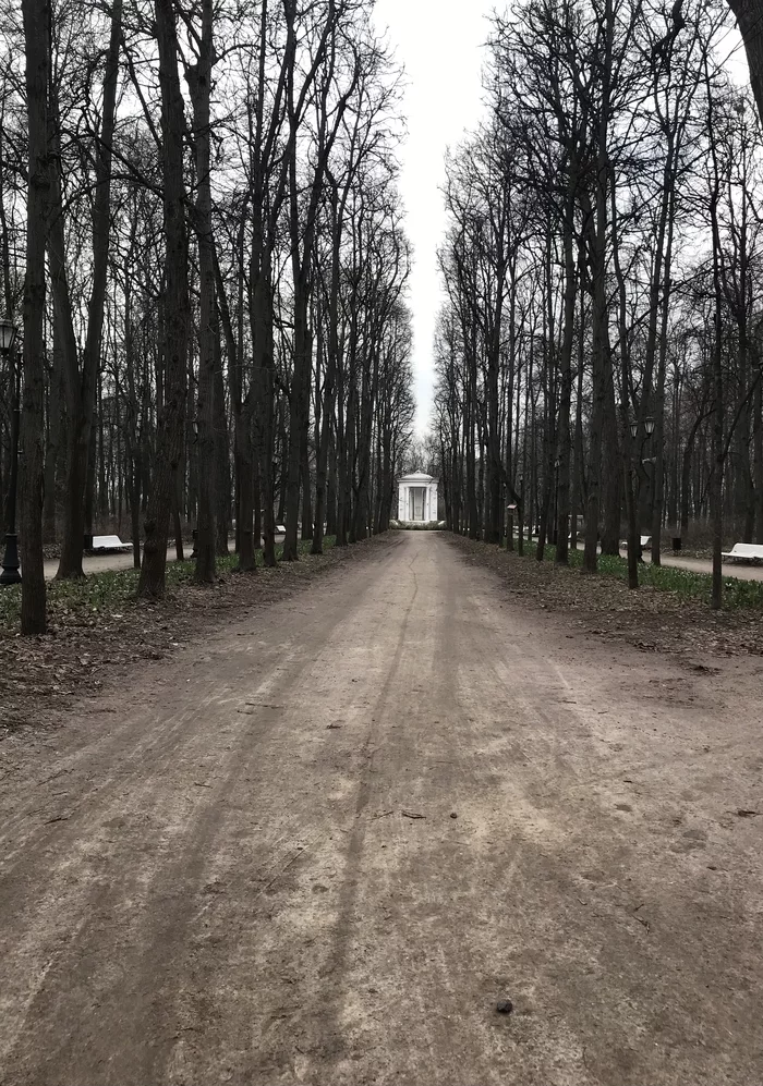 Every path has a purpose - My, Mobile photography, Flowers, Road, Spring, The park, Rotunda, Longpost