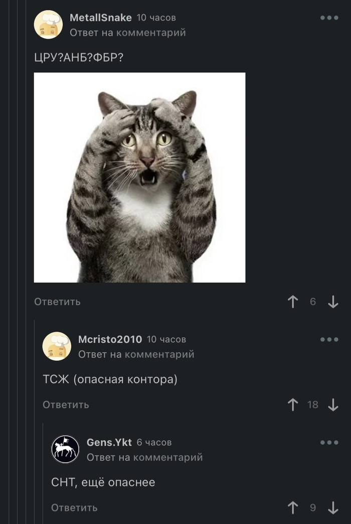     ! ,   , Zog, , , 