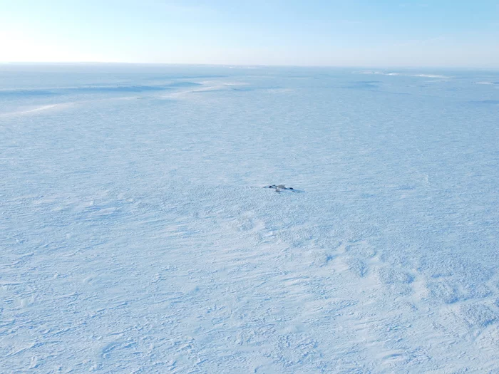 The northernmost point of Eurasia - My, Taimyr, Reindeer herder, Tundra, Drone