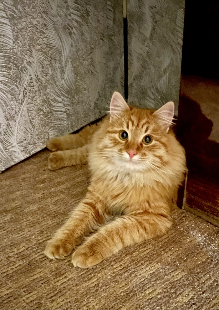 ��� ��� ���